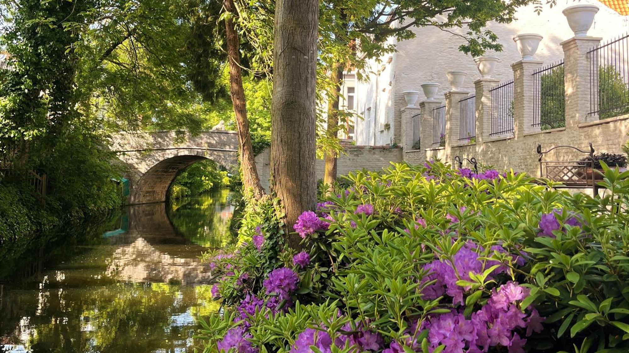 The Notary Bed and Breakfast Μπριζ Εξωτερικό φωτογραφία